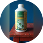 MAXLIV FORTE LIVER TONIC - Image 2