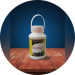MAXCAL GOLD SUSPENSION - Image 3