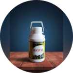 MAXCAL GOLD SUSPENSION