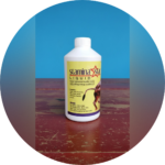 STAMINA KING GEL - Image 2