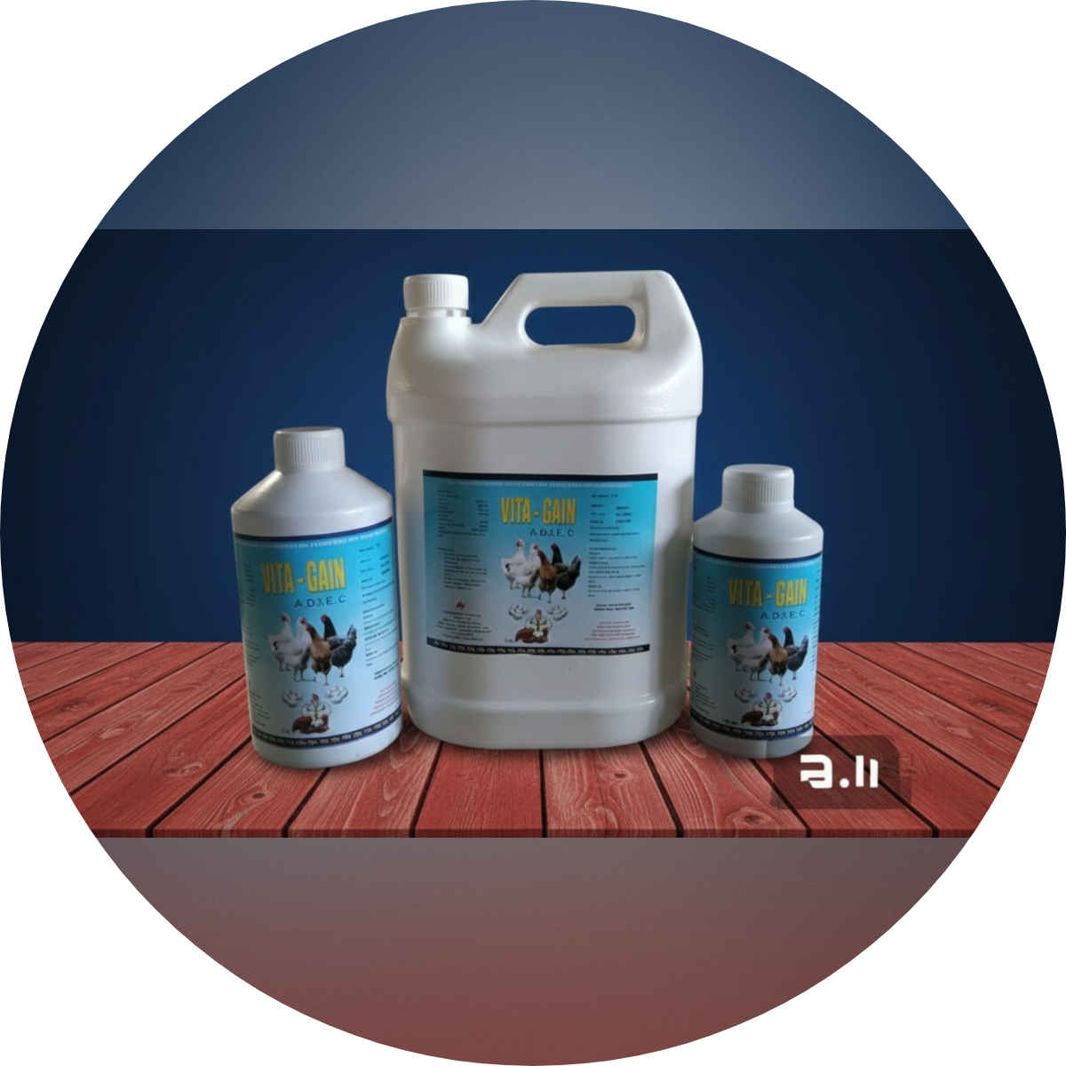VITA GAIN SYRUP VITA GAIN SYRUP - Image 1